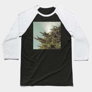 Autumn Fir Baseball T-Shirt